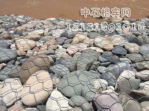 zsshilong114.jpg zsshilong114.jpg