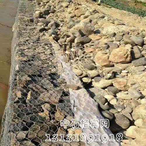 zsshilong129.jpg zsshilong129.jpg