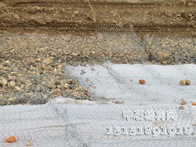 雙隔板雷諾護墊 雙隔板雷諾護墊