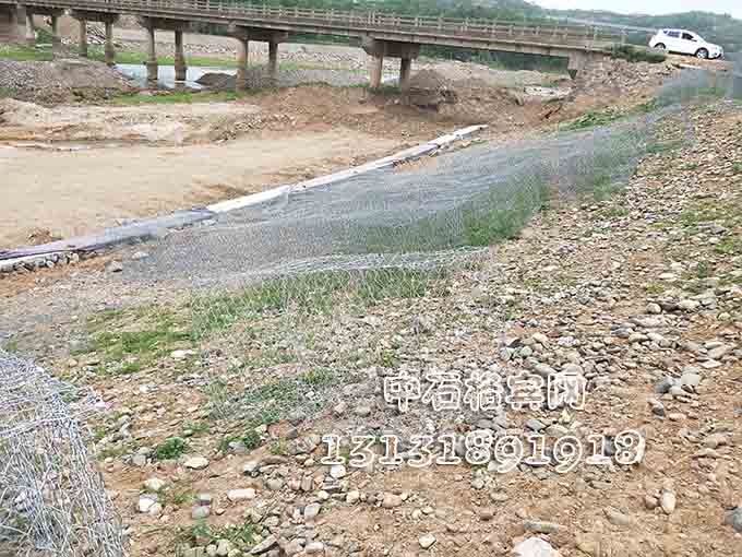 雙隔板雷諾護墊 雙隔板雷諾護墊