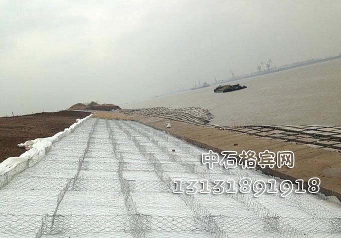 鍍高爾凡雷諾護墊