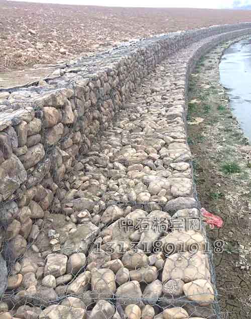 鍍高爾凡雷諾護墊